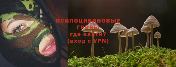 гидра Киренск