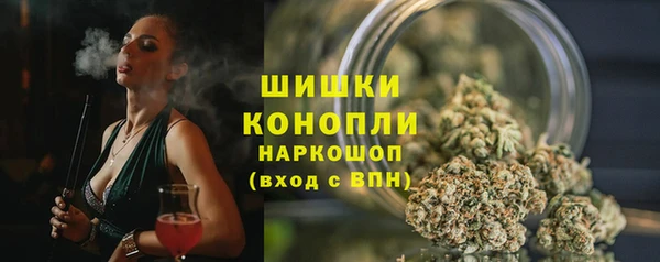гидра Киренск