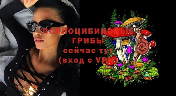 гидра Киренск